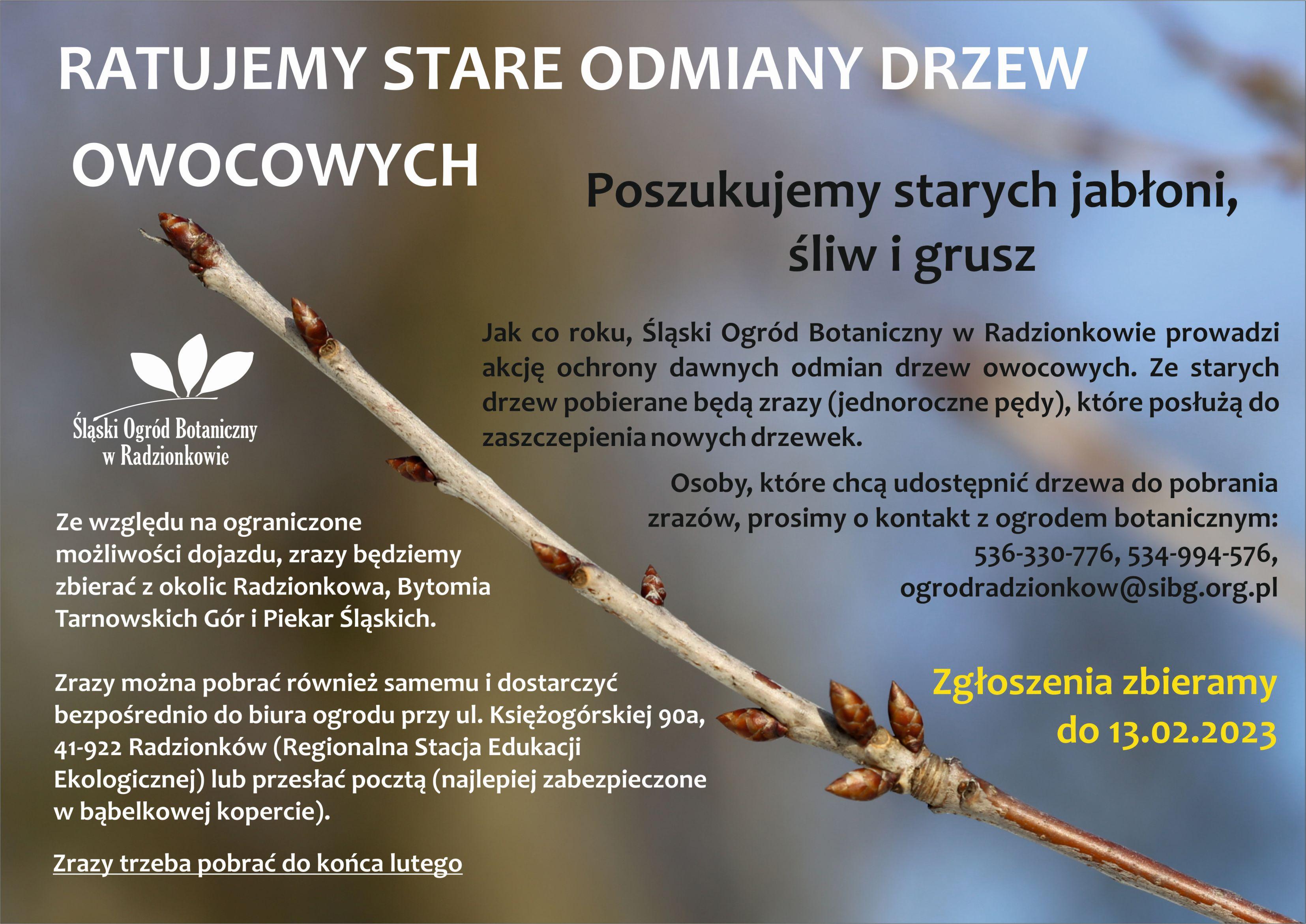 stare odmiany drzew owocowych